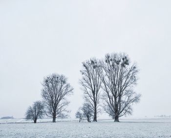 Bare trees on snow covered landscape