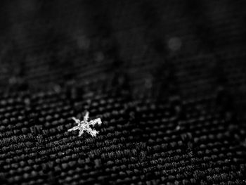 Full frame shot of carpet