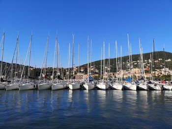 Sailboats moored in harbor