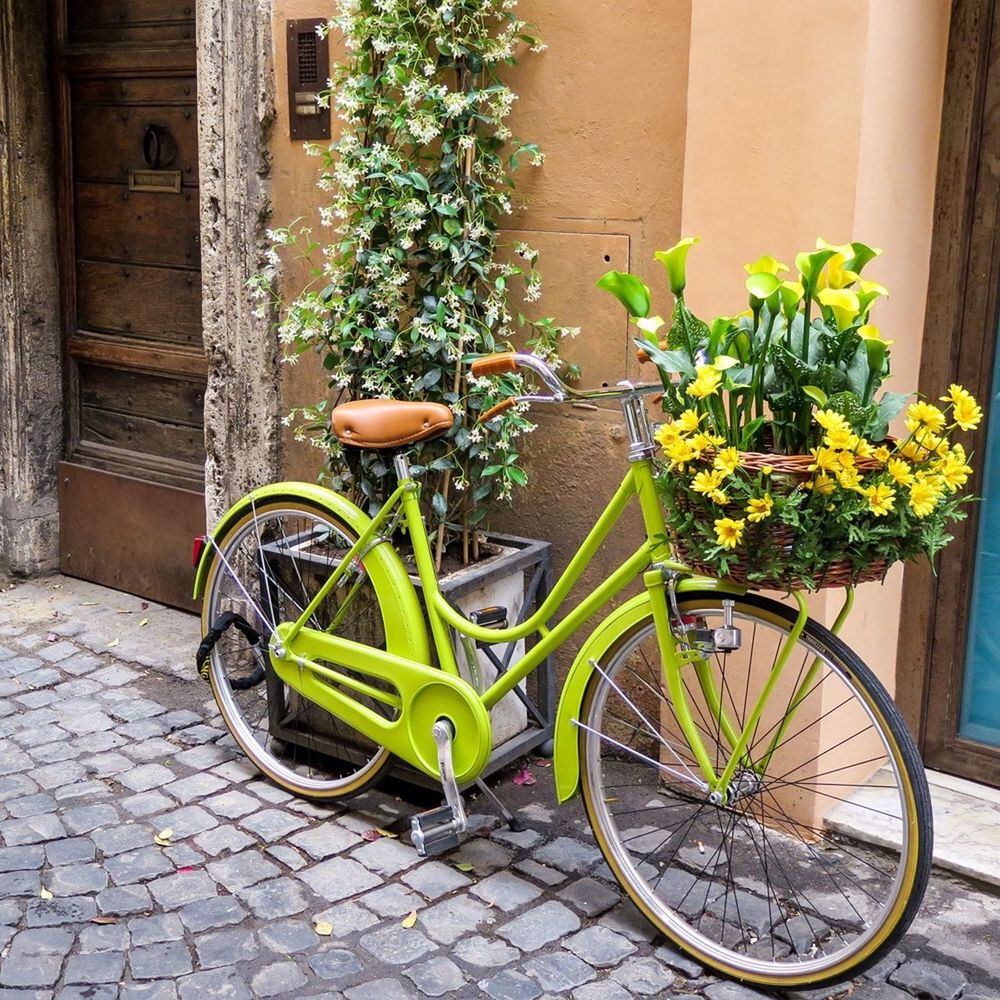 bicycle, potted plant, building exterior, built structure, architecture, plant, transportation, stationary, parked, wall - building feature, land vehicle, flower, flower pot, parking, growth, house, green color, day, mode of transport, no people