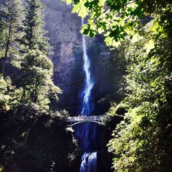 Scenic view of waterfall