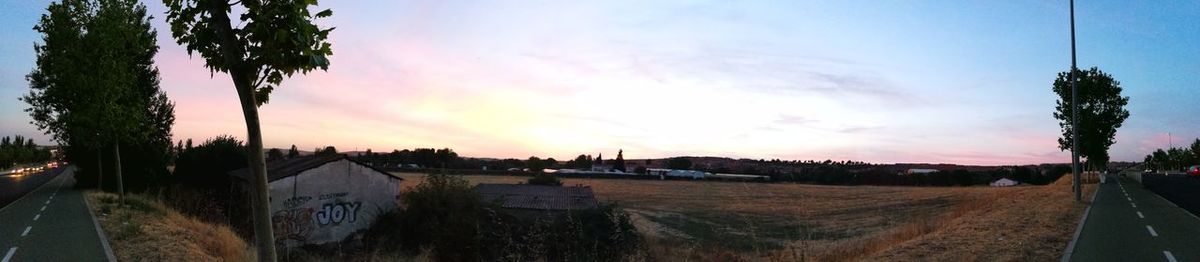 Panoramic shot of trees against sky