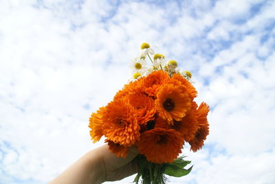 Close-up of hand holding flower against sky