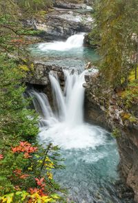 Scenic view of waterfall in forest