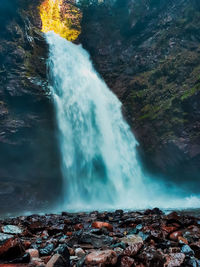 Scenic view of waterfall in forest