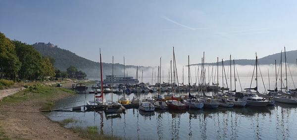 Sailboats moored in harbor