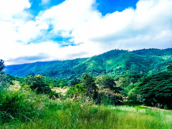 Scenic view of field and mountains against sky