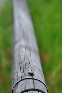 Close-up of wooden post