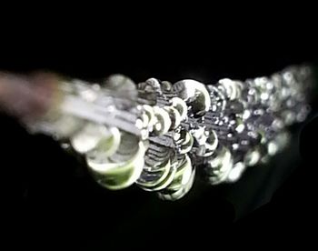 Close-up of flower over black background