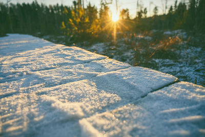 Close-up of snow covered trees against sky