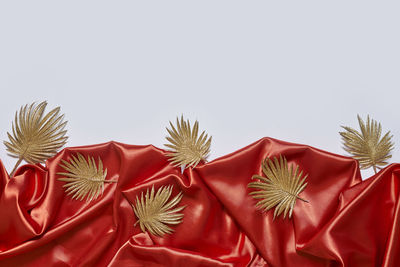 Close-up of christmas decorations over white background