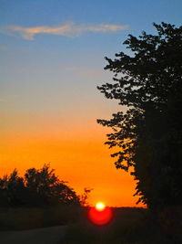 Silhouette trees against sky during sunset