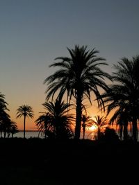 Silhouette palm trees against clear sky during sunset