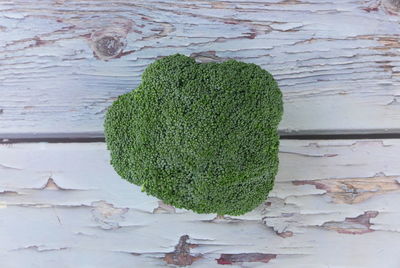 Close-up of ivy growing on wall