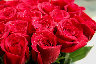 Close-up of red rose bouquet