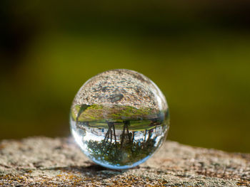 Close-up of crystal ball on rock