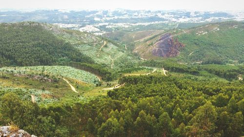 Scenic view of landscape