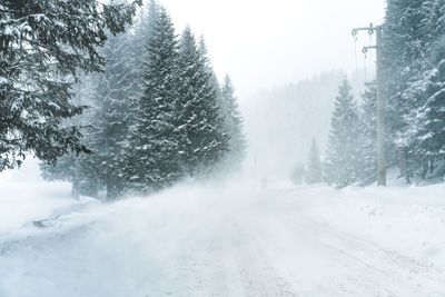 Blizzard on mountain road