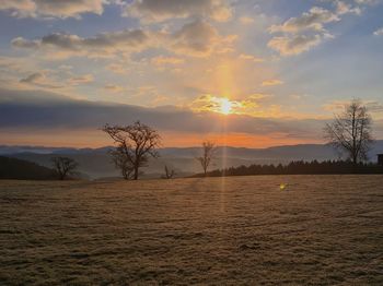 Scenic view of field against sky during sunset