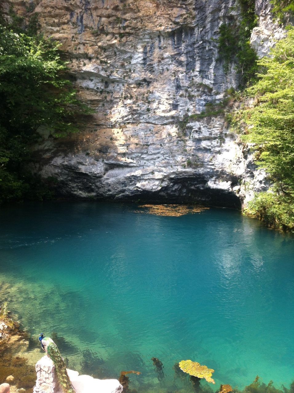 water, rock - object, rock formation, tranquility, nature, beauty in nature, tranquil scene, scenics, tree, high angle view, river, rock, cliff, reflection, built structure, day, waterfront, architecture, mountain, lake