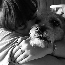 Close-up of dog sticking out tongue