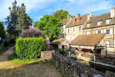 Footpath amidst trees and buildings against sky