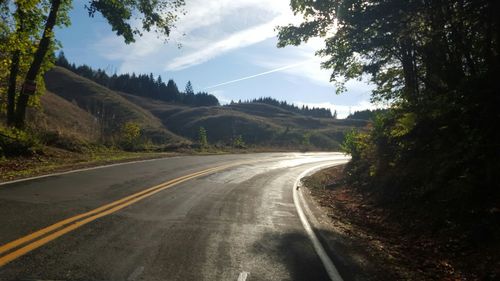 Empty road along trees
