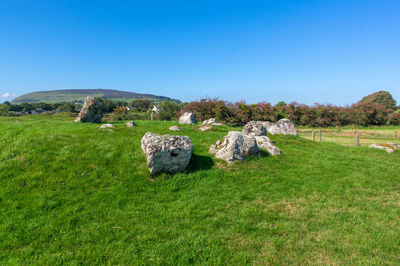 Hay bales on field against clear blue sky