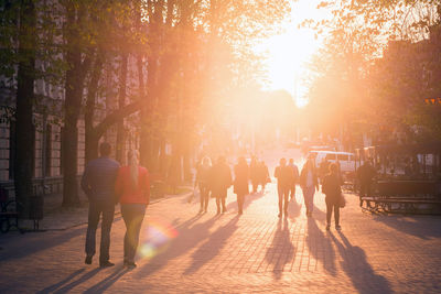 Rear view of people walking on street in city during sunset