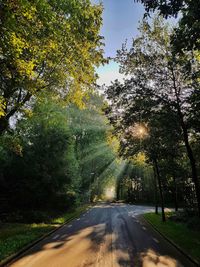 Empty road amidst trees against sky in city