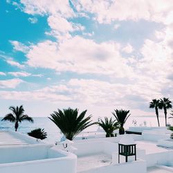 White table and palm trees against sky