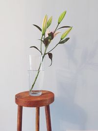 Close-up of vase on table