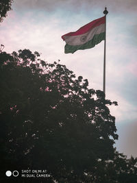 Low angle view of flags on tree against sky