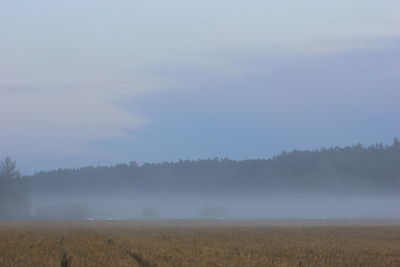 Scenic view of field against clear sky