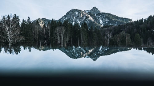 Reflection of trees in lake against sky