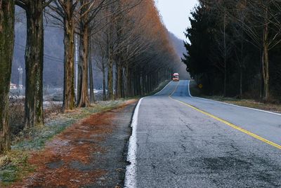 Empty road amidst trees