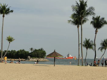 Palm trees on beach against sky