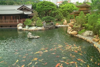 View of lake against buildings