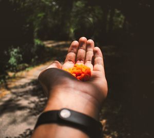 Close-up of hand holding fruit