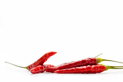 Close-up of red chili peppers against white background