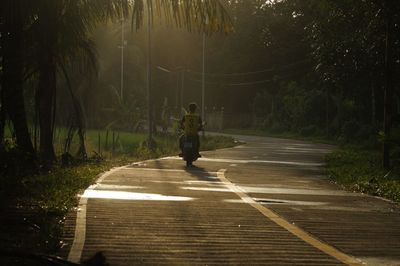 Rear view of man riding motorcycle on road