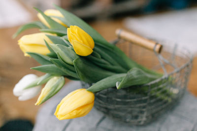 Close-up of tulips in basket