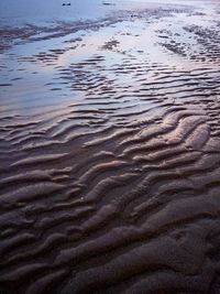 Scenic view of beach