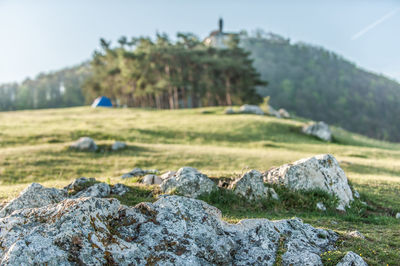 Rocks on field with  trees in front of kirchheim castle against sky