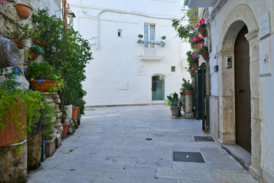 A street of monopoli, an old town in puglia, italy.