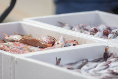 White containers with catch of sea fish. industrial catch of fresh fish. fish auction.