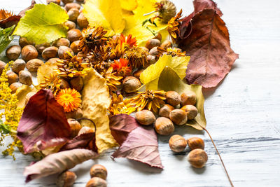 Close-up of nuts with autumn leaves and flowers on table