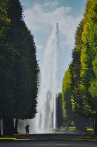 Fountain amidst trees against sky