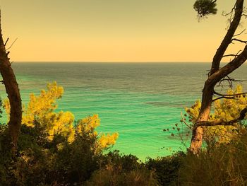 Scenic view of sea against clear sky during sunset