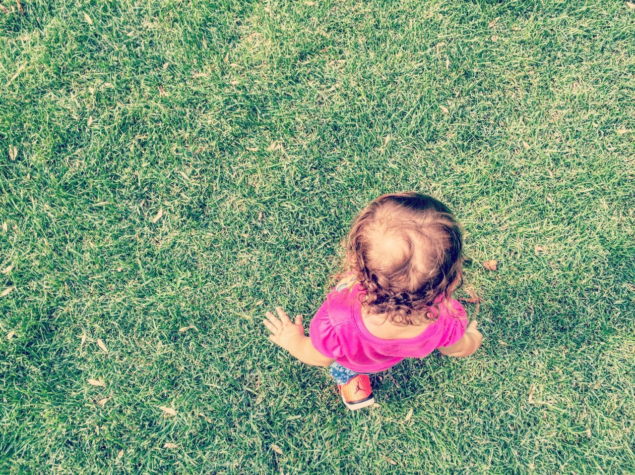 high angle view, directly above, grass, one person, childhood, babyhood, people, outdoors, babies only, close-up, day